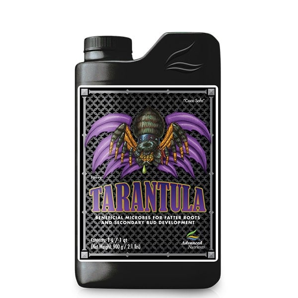 Tarantula